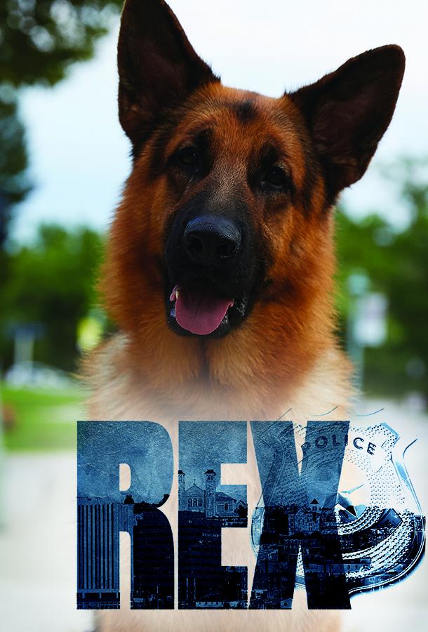 Хадсон и Рекс / Hudson & Rex (2019)